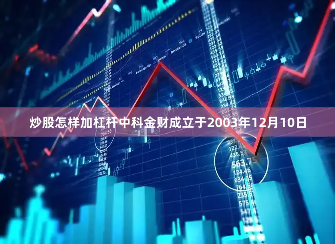 炒股怎样加杠杆中科金财成立于2003年12月10日