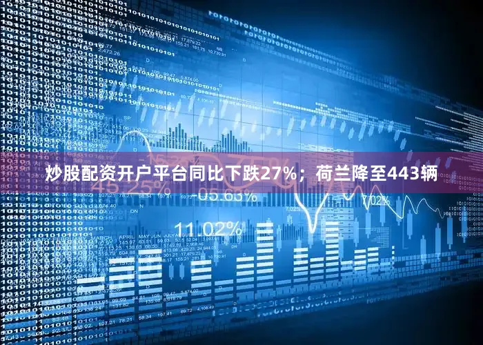 炒股配资开户平台同比下跌27%；荷兰降至443辆