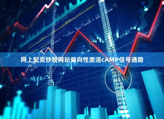 网上配资炒股网站偏向性激活cAMP信号通路