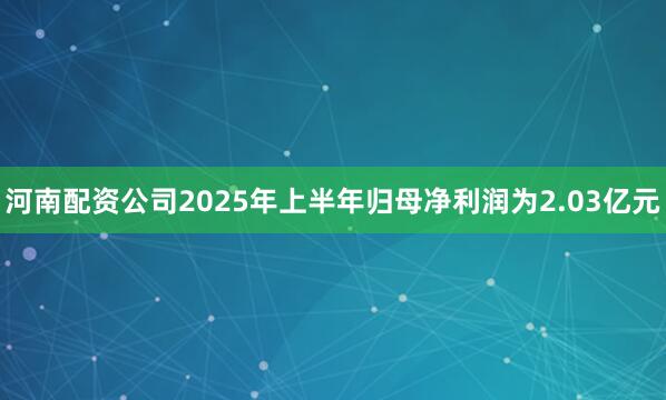 河南配资公司2025年上半年归母净利润为2.03亿元